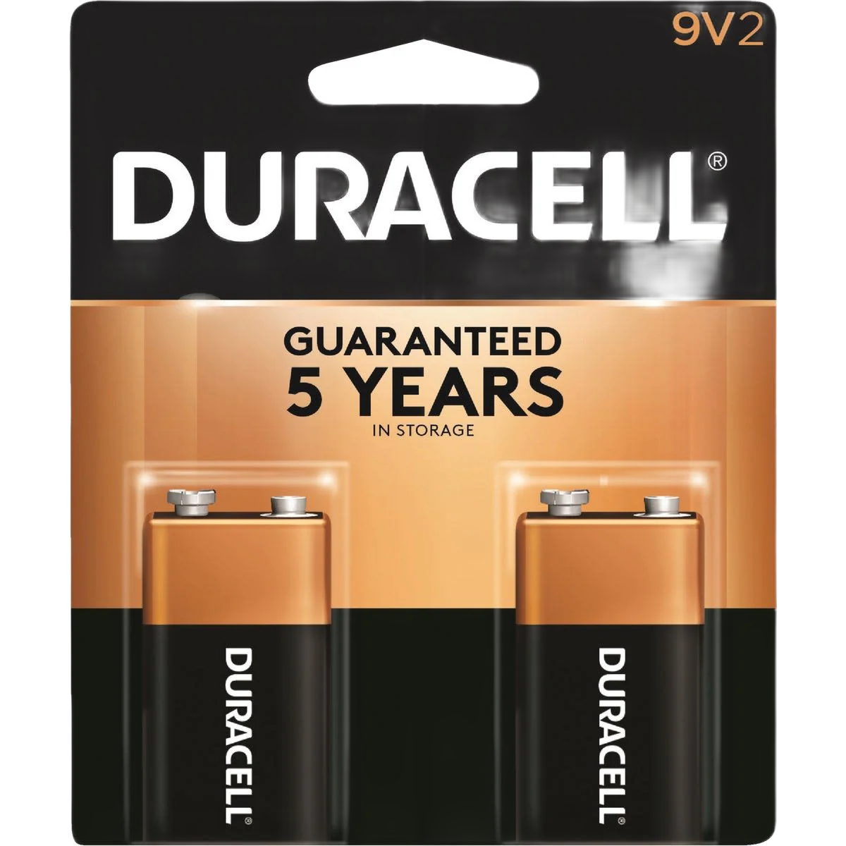 Duracell CopperTop 9V Alkaline Battery, 2-Pack