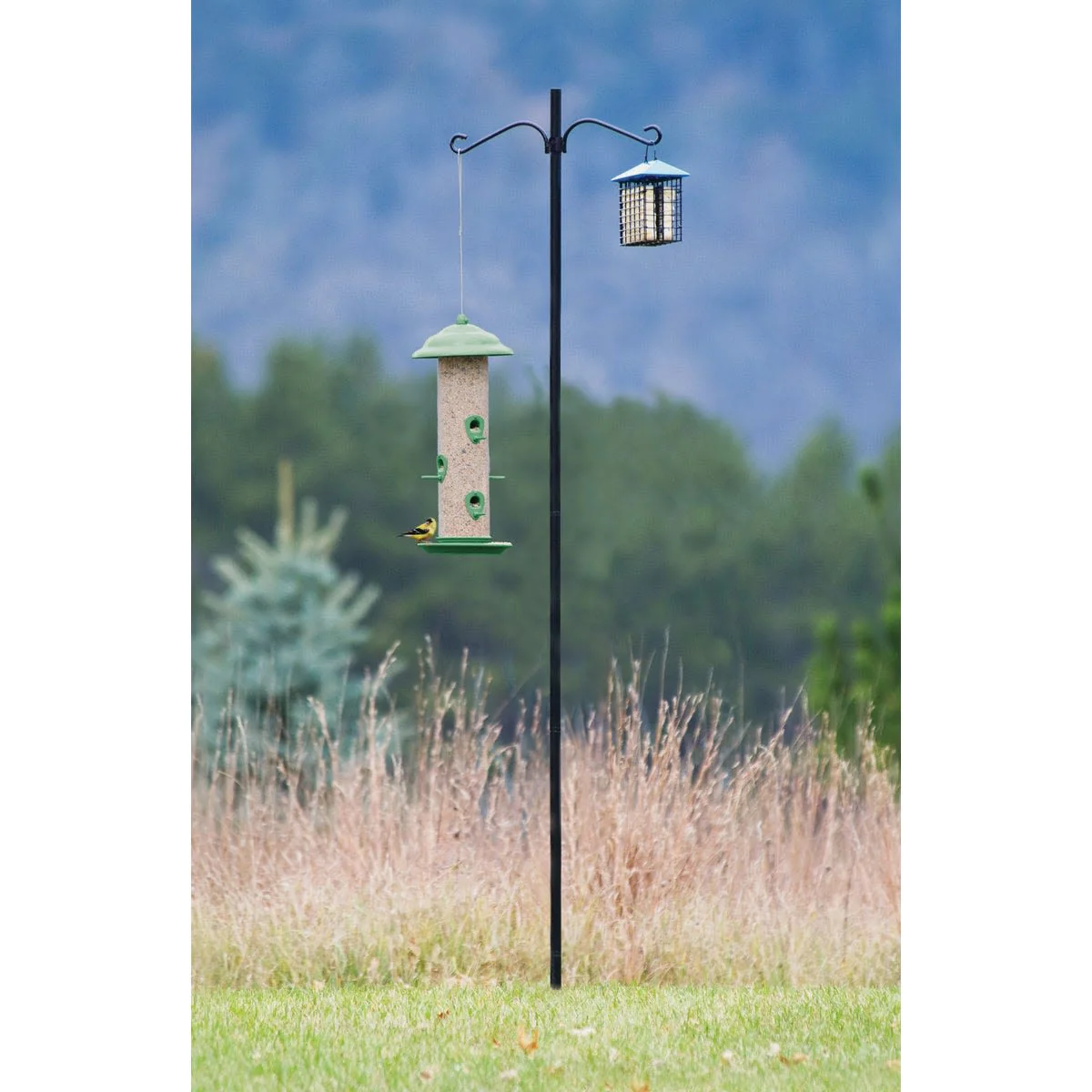 More Birds Steel Bird Feeder Pole Kit, 6.5 ft.