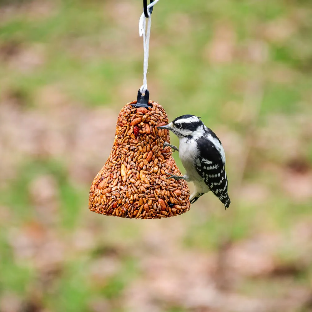 Mr. Bird Golden Safflower Seed Bell - Image 2