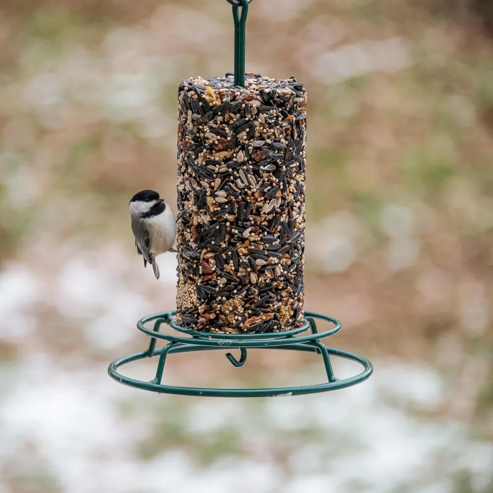 Mr. Bird WildBird Feast Small Seed Cylinder - Image 3
