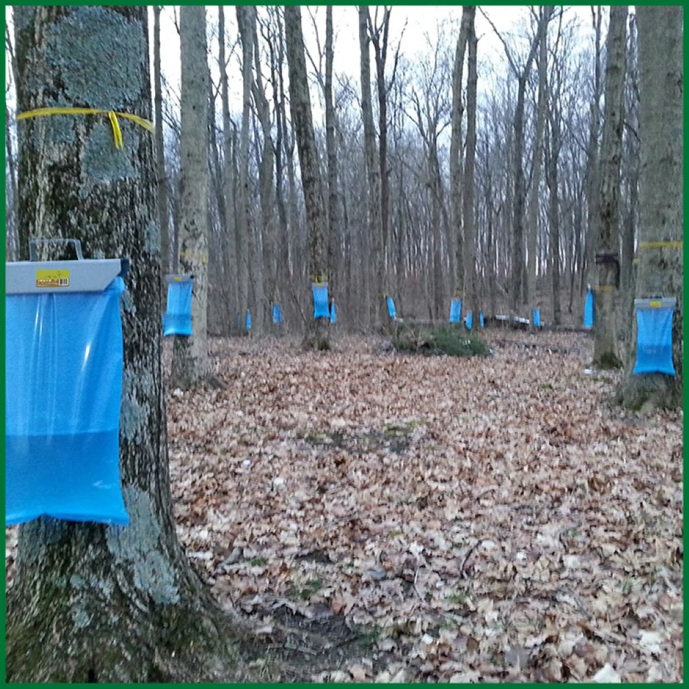 Tap My Trees Maple Sugaring Sap Sack - Image 8